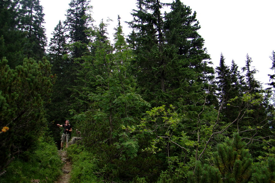 Koniec Javorovej doliny (Vysoké Tatry)