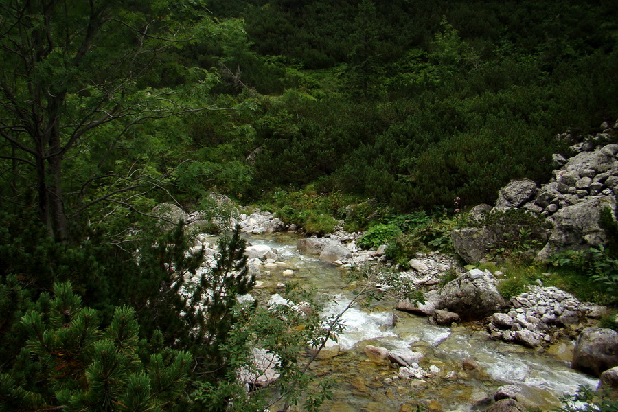 Koniec Javorovej doliny (Vysoké Tatry)