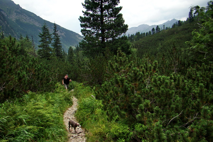 Koniec Javorovej doliny (Vysoké Tatry)