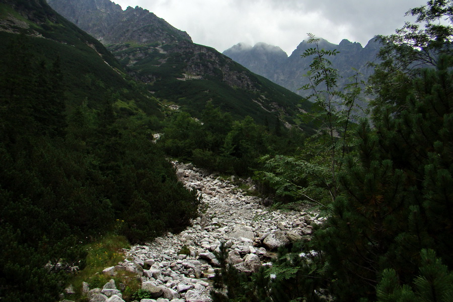 Koniec Javorovej doliny (Vysoké Tatry)