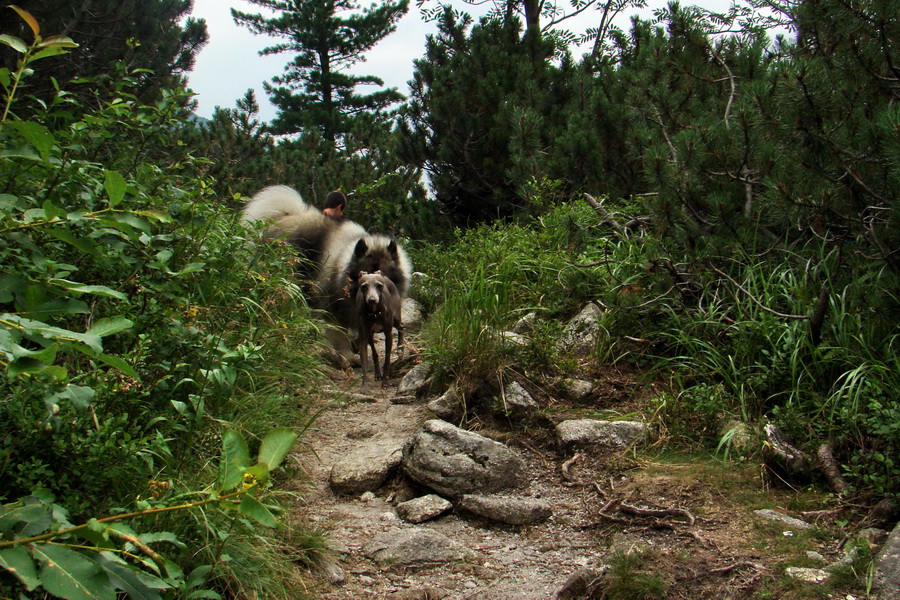 Koniec Javorovej doliny (Vysoké Tatry)