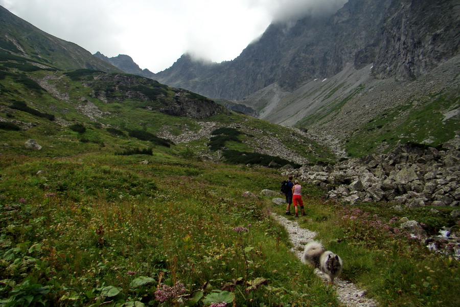 Koniec Javorovej doliny (Vysoké Tatry)