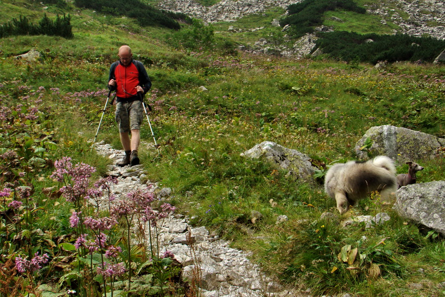 Koniec Javorovej doliny (Vysoké Tatry)