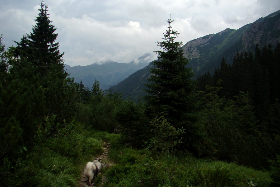 Koniec Javorovej doliny (Vysoké Tatry)