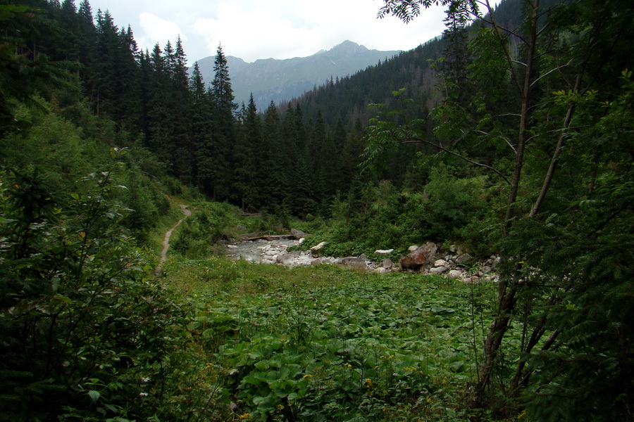 Koniec Javorovej doliny (Vysoké Tatry)