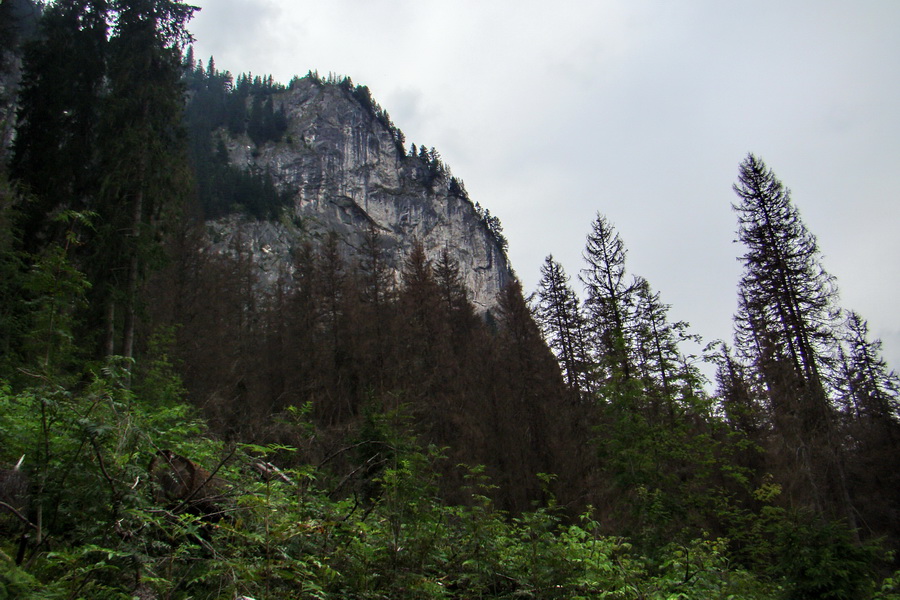 Koniec Javorovej doliny (Vysoké Tatry)