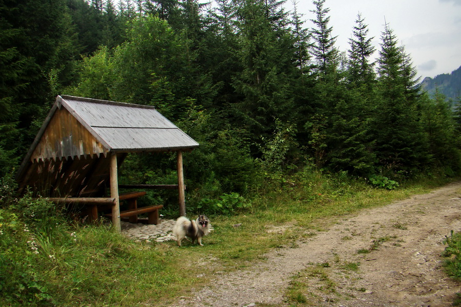 Koniec Javorovej doliny (Vysoké Tatry)