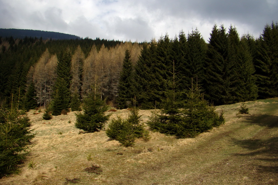 Kráľova hoľa z Telgárta (Nízke Tatry)