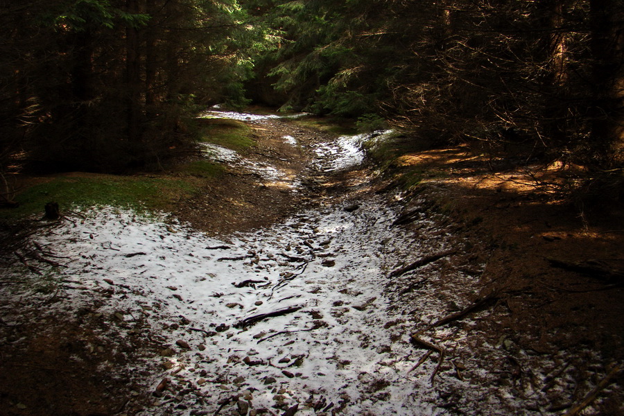 Kráľova hoľa z Telgárta (Nízke Tatry)