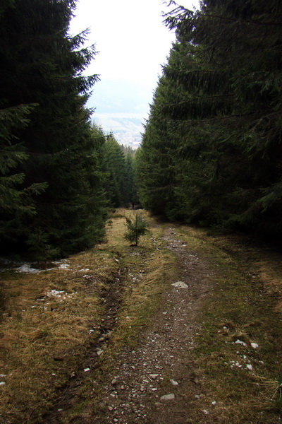 Kráľova hoľa z Telgárta (Nízke Tatry)