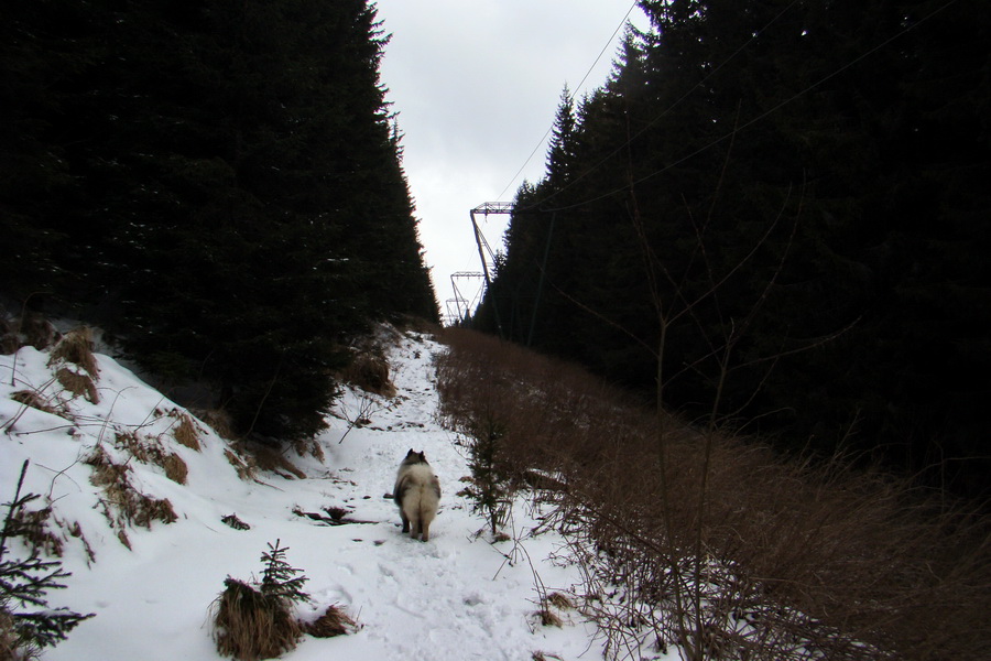 Kráľova hoľa z Telgárta (Nízke Tatry)