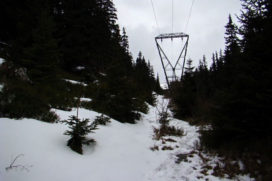 Kráľova hoľa z Telgárta (Nízke Tatry)