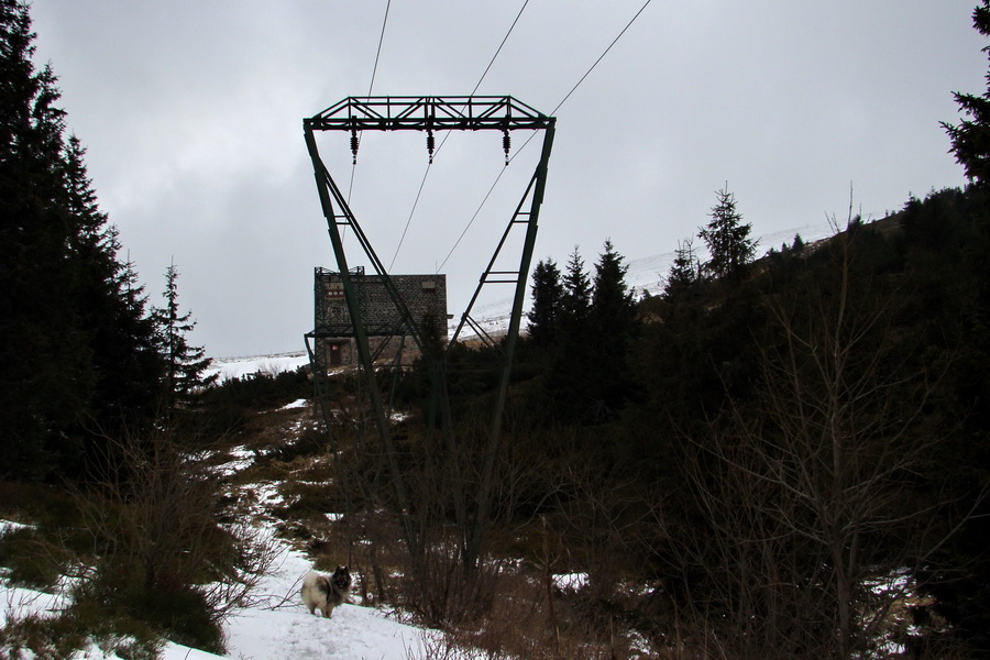 Kráľova hoľa z Telgárta (Nízke Tatry)