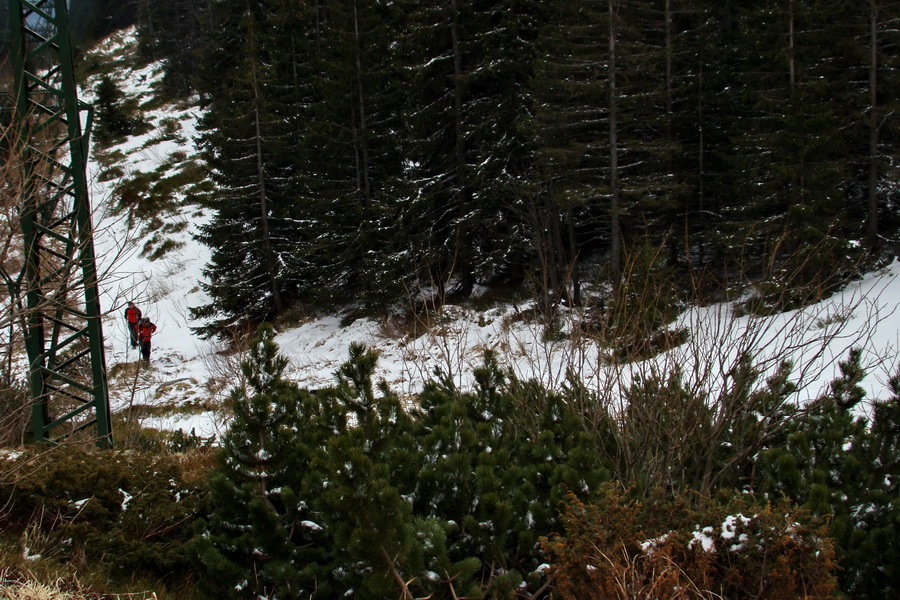 Kráľova hoľa z Telgárta (Nízke Tatry)