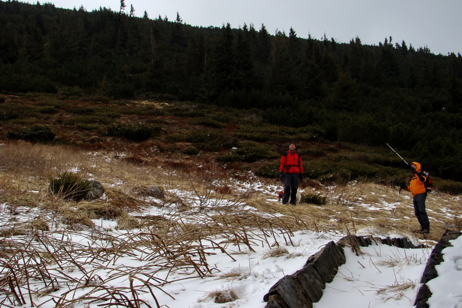 Kráľova hoľa z Telgárta (Nízke Tatry)