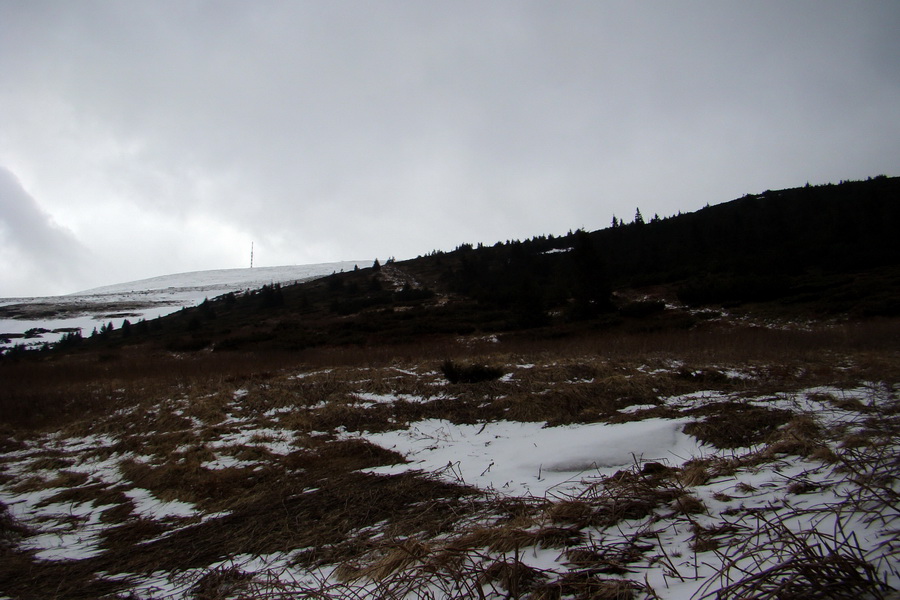 Kráľova hoľa z Telgárta (Nízke Tatry)