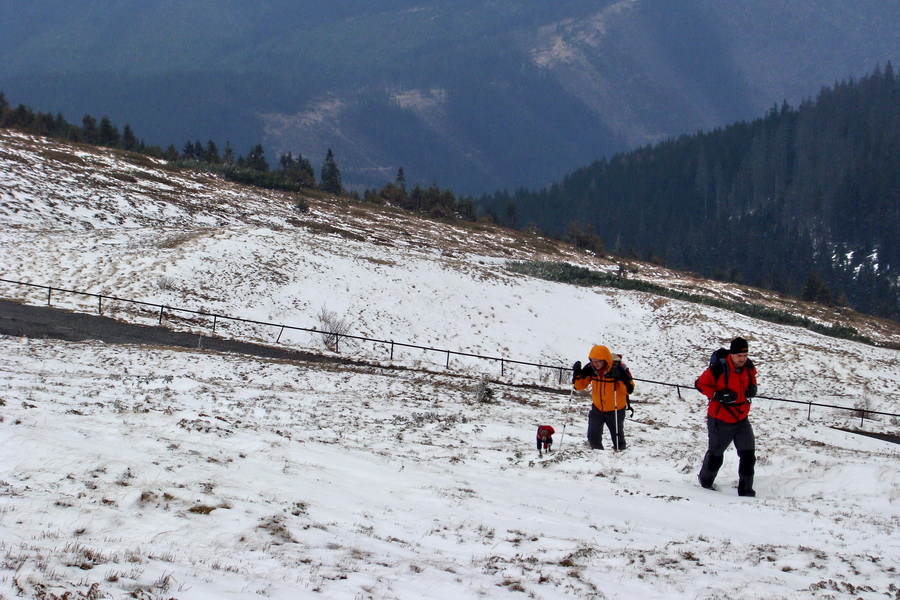 Kráľova hoľa z Telgárta (Nízke Tatry)