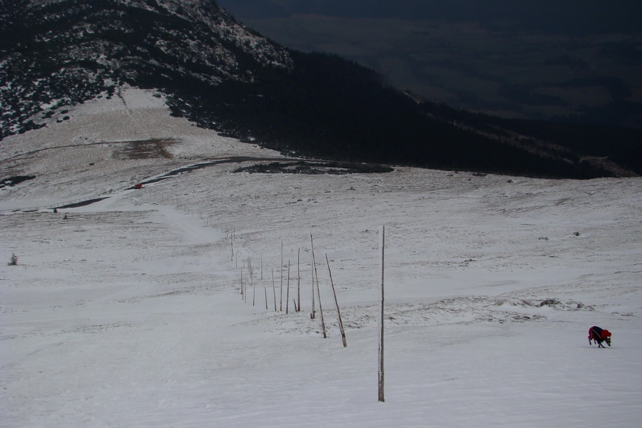 Kráľova hoľa z Telgárta (Nízke Tatry)