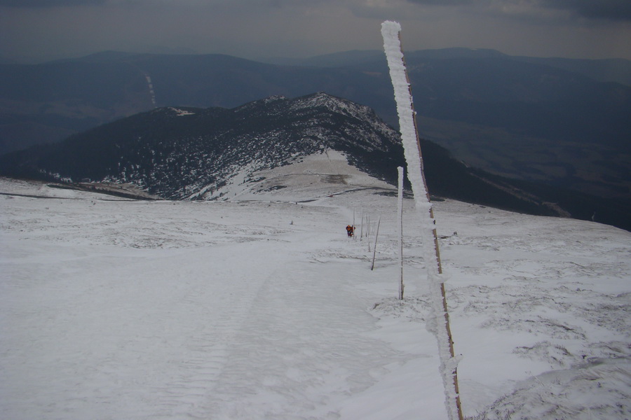 Kráľova hoľa z Telgárta (Nízke Tatry)