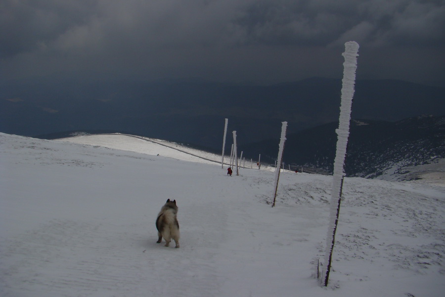 Kráľova hoľa z Telgárta (Nízke Tatry)