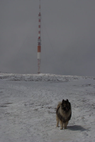 Kráľova hoľa z Telgárta (Nízke Tatry)