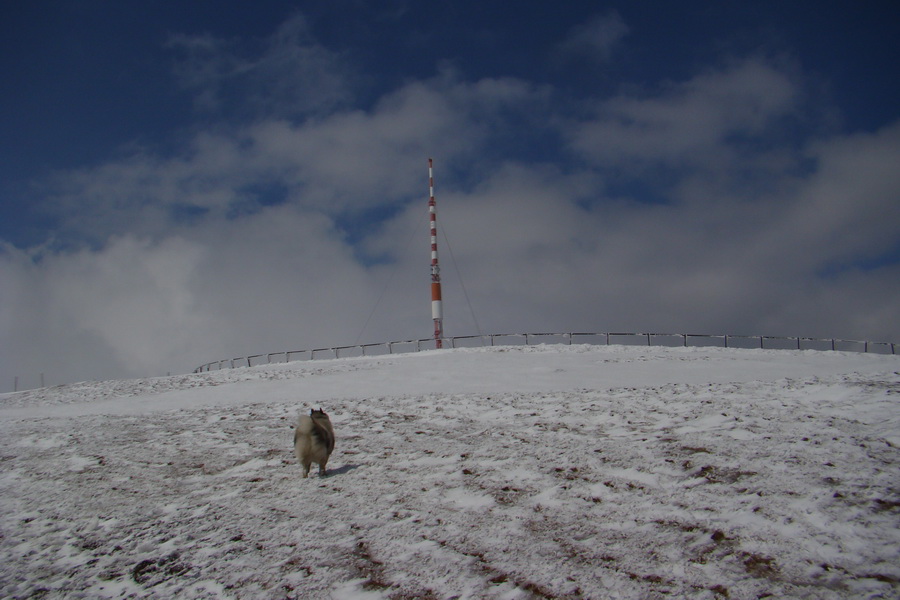 Kráľova hoľa z Telgárta (Nízke Tatry)