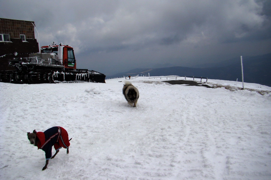 Kráľova hoľa z Telgárta (Nízke Tatry)