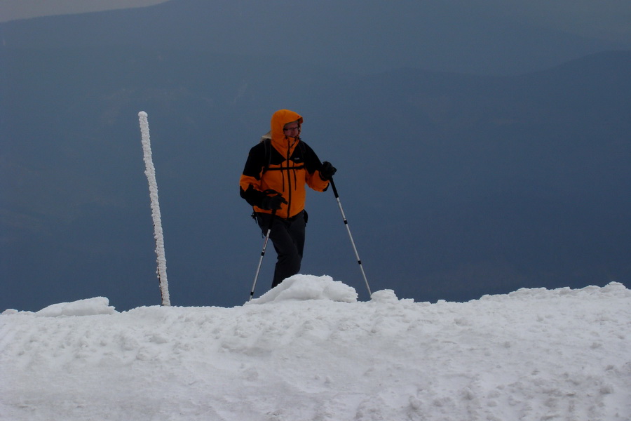 Kráľova hoľa z Telgárta (Nízke Tatry)