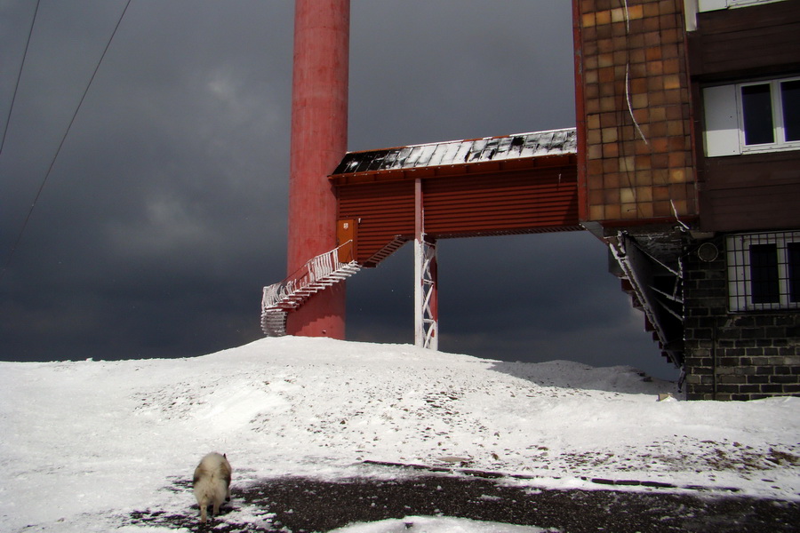 Kráľova hoľa z Telgárta (Nízke Tatry)