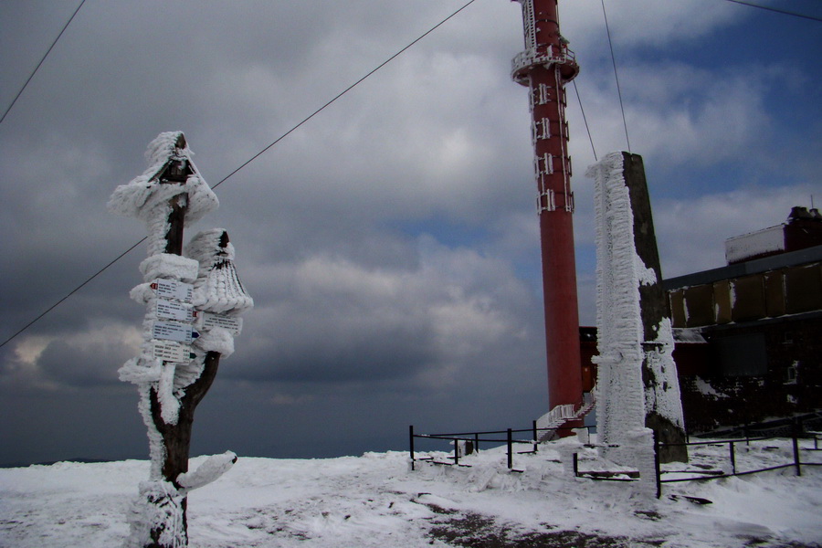 Kráľova hoľa z Telgárta (Nízke Tatry)