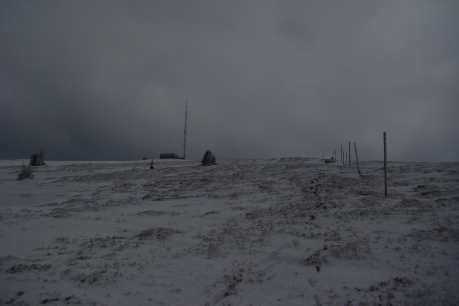 Kráľova hoľa z Telgárta (Nízke Tatry)