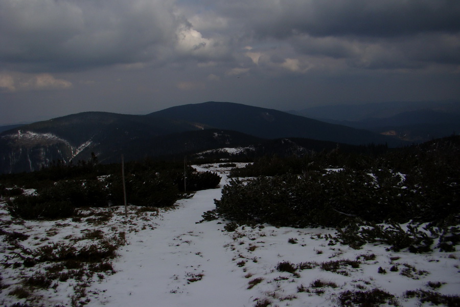 Kráľova hoľa z Telgárta (Nízke Tatry)