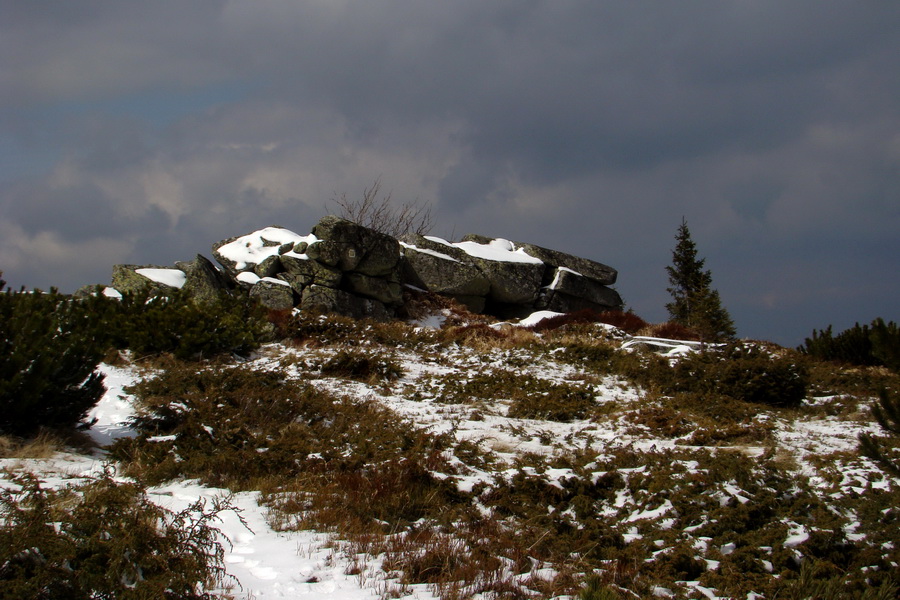 Kráľova hoľa z Telgárta (Nízke Tatry)