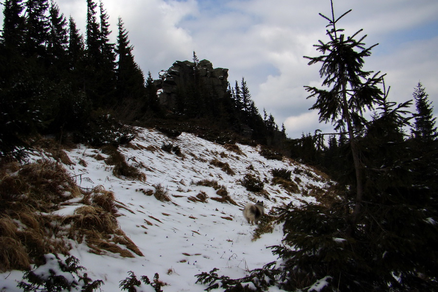 Kráľova hoľa z Telgárta (Nízke Tatry)