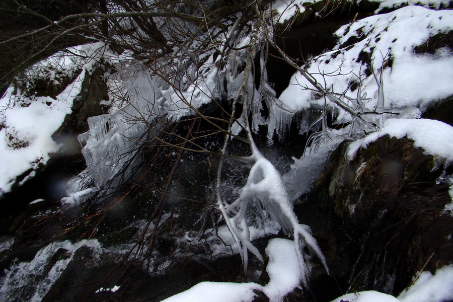 Kráľova hoľa z Telgárta (Nízke Tatry)