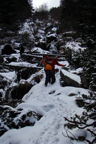 Kráľova hoľa z Telgárta (Nízke Tatry)