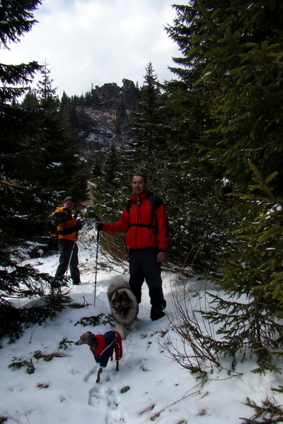 Kráľova hoľa z Telgárta (Nízke Tatry)