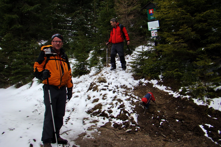 Kráľova hoľa z Telgárta (Nízke Tatry)