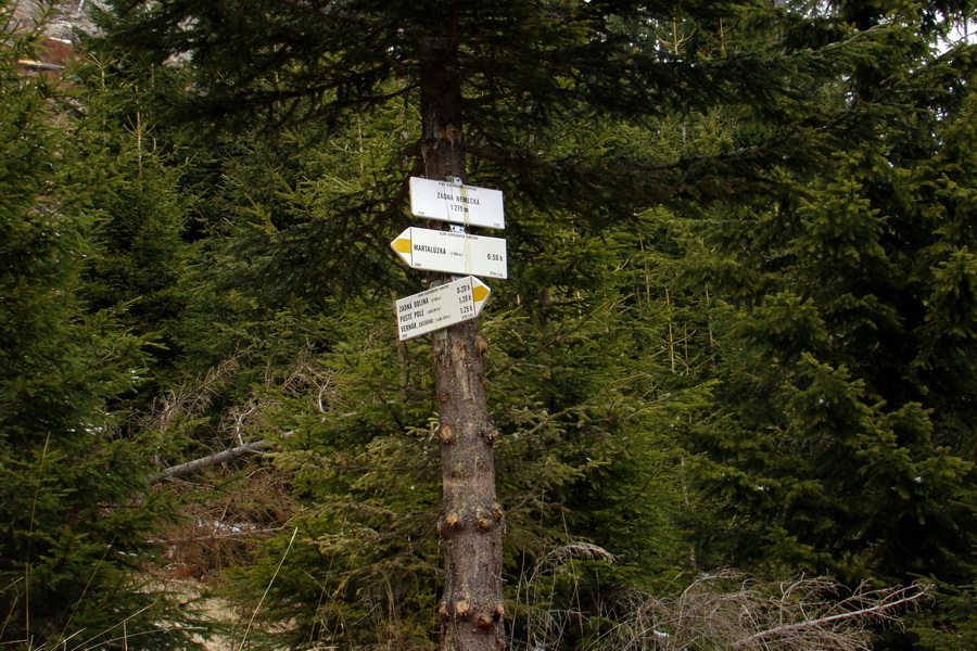 Kráľova hoľa z Telgárta (Nízke Tatry)