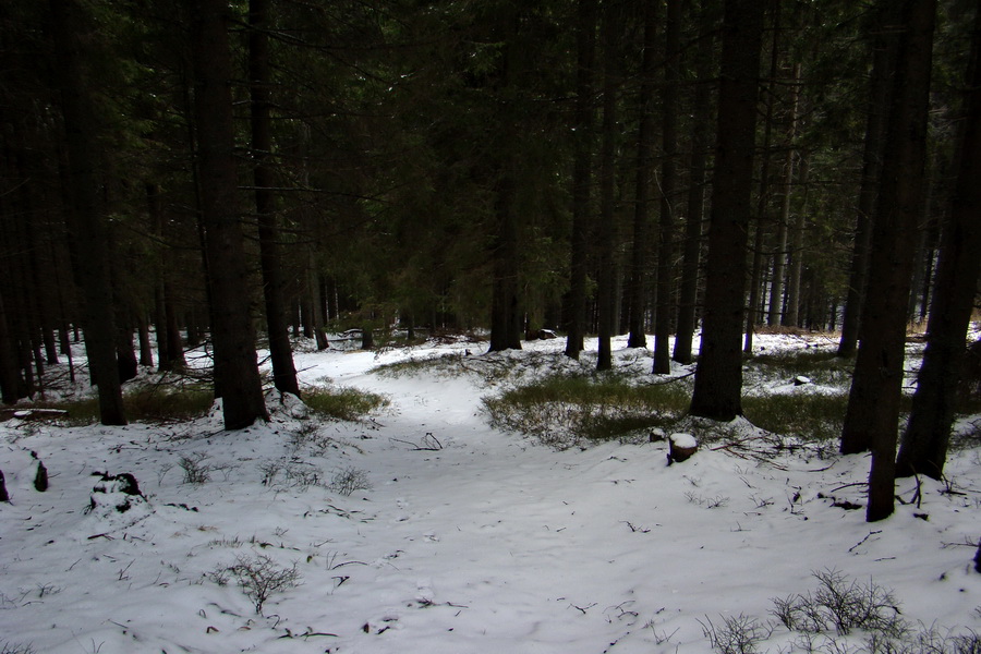 Kráľova hoľa z Telgárta (Nízke Tatry)