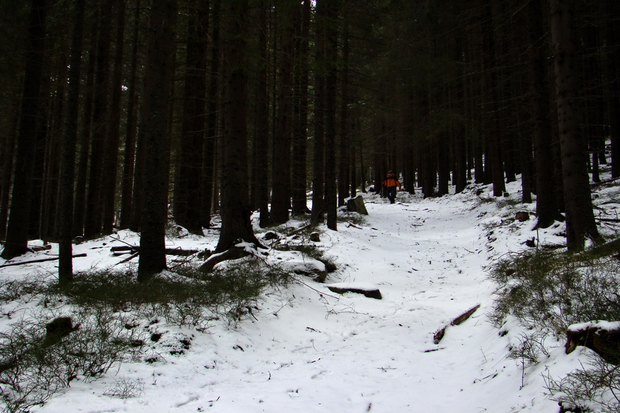 Kráľova hoľa z Telgárta (Nízke Tatry)