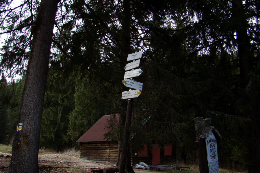 Kráľova hoľa z Telgárta (Nízke Tatry)