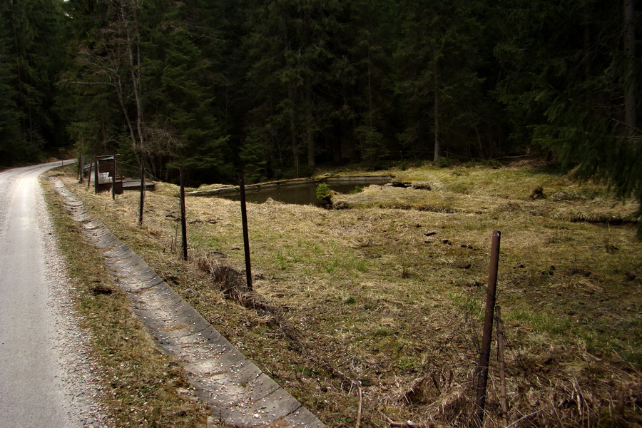 Kráľova hoľa z Telgárta (Nízke Tatry)