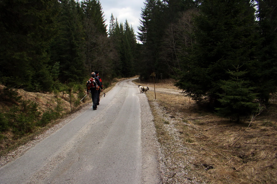 Kráľova hoľa z Telgárta (Nízke Tatry)