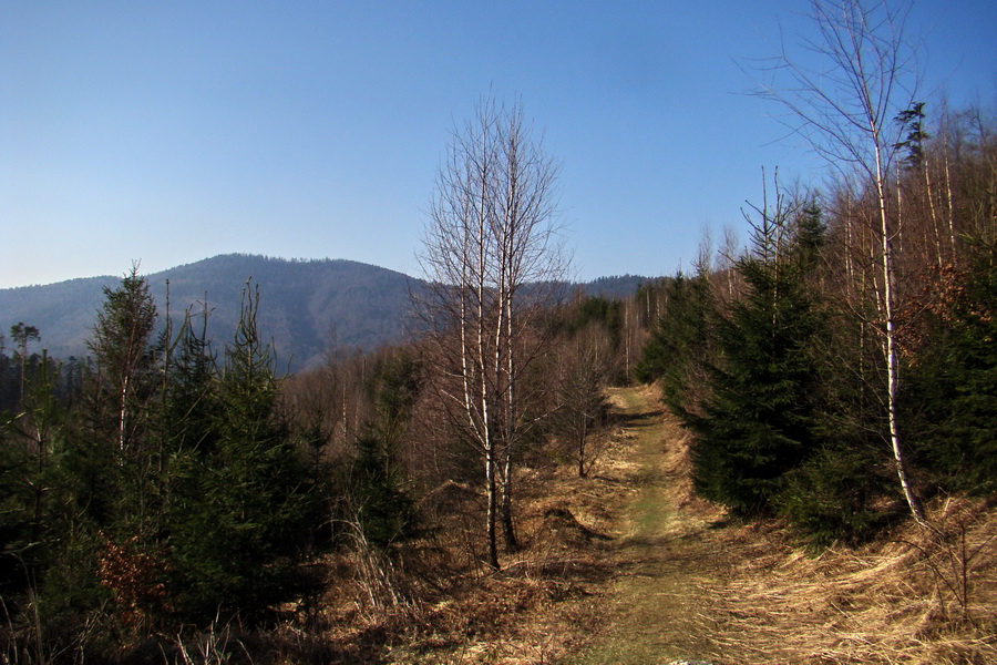 Osadník zo Štósa (Volovské vrchy)