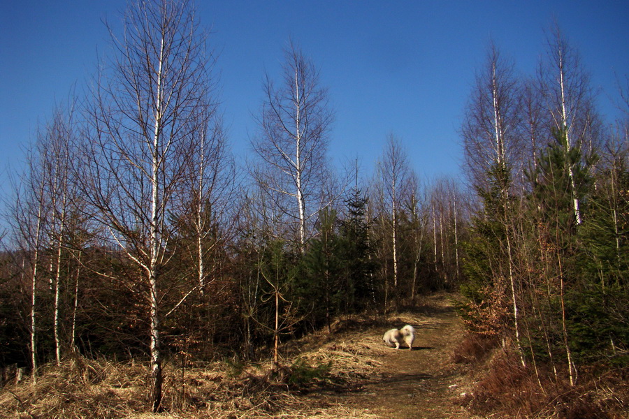 Osadník zo Štósa (Volovské vrchy)