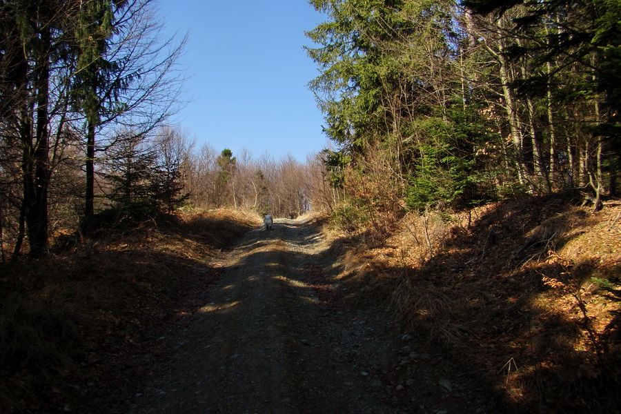 Osadník zo Štósa (Volovské vrchy)