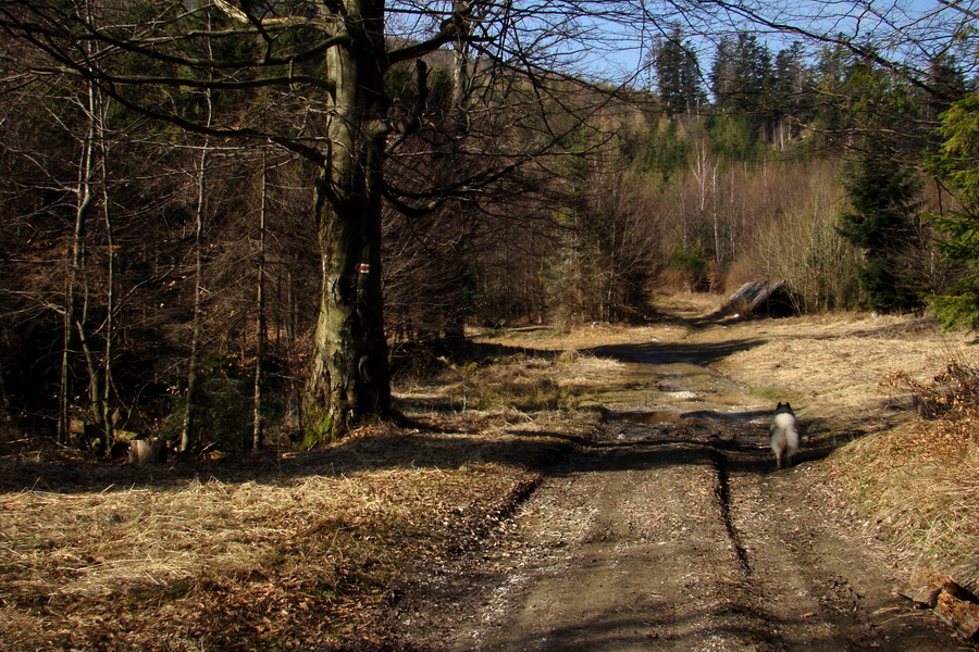 Osadník zo Štósa (Volovské vrchy)