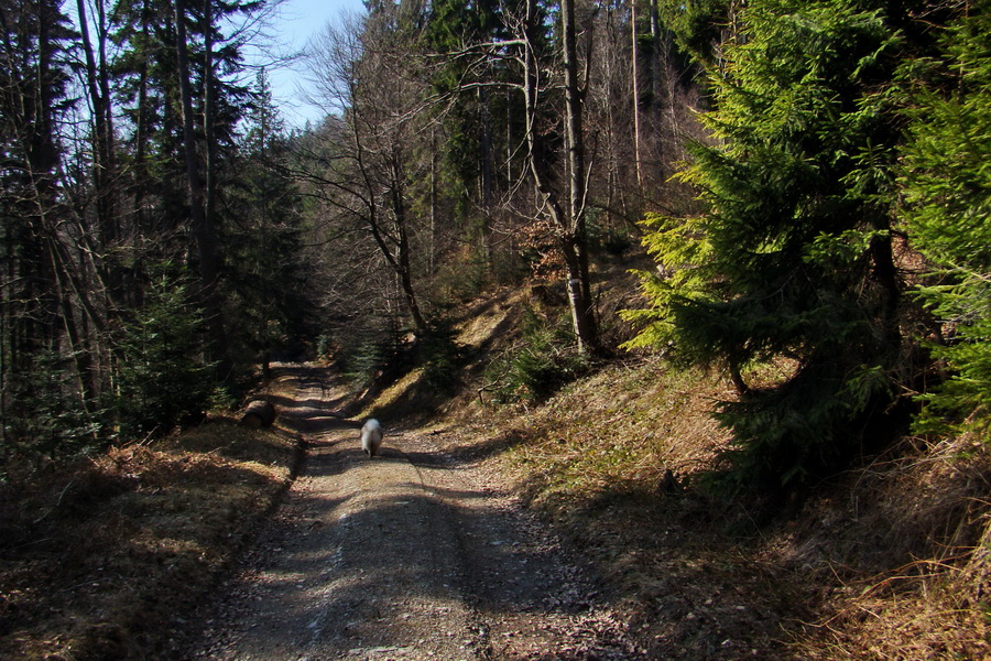 Osadník zo Štósa (Volovské vrchy)