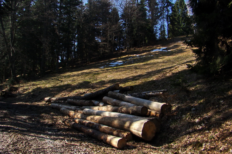 Osadník zo Štósa (Volovské vrchy)